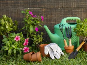 General Landscaping Services